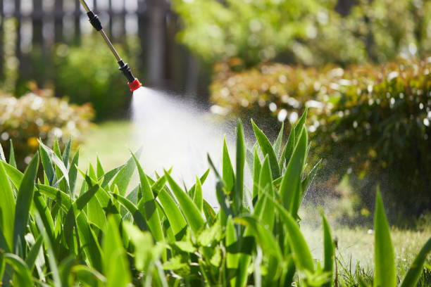 24/7 Emergency Mosquito Control experts in Adamsville, AL