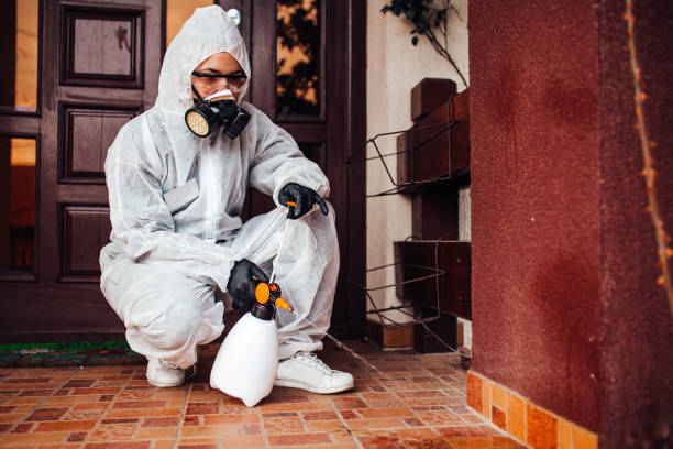 Reliable Mosquito Control contractor in Adamsville, AL by Show Me Pest Control